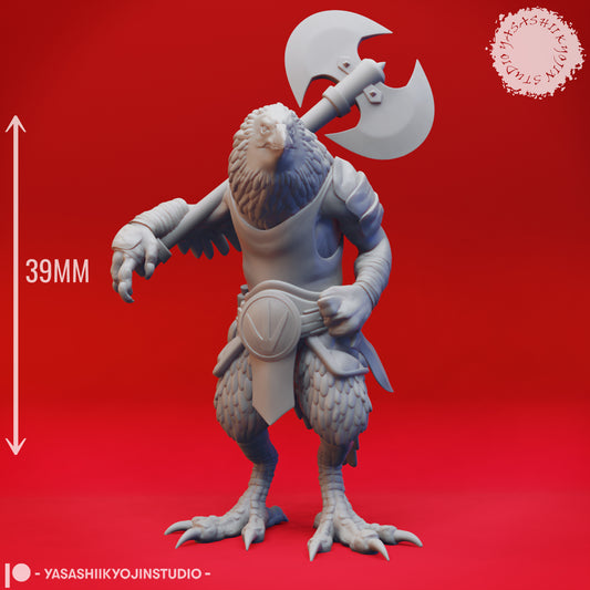 Kenku - Barbarian - 3D Printed Mini for Tabletop Gaming, Dungeons and Dragons, Pathfinder, Kings of War and other RPG's