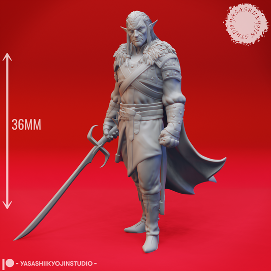 Rahadin - Dusk Elf Chamberlain - 3D Printed Mini for Tabletop Gaming, Dungeons and Dragons, Pathfinder, Kings of War and other RPG's